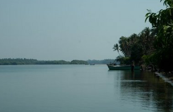 Udyavara River, Udupi, Karnataka - Vushii.com